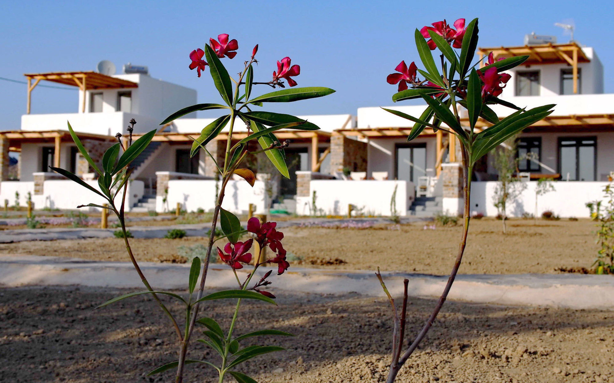 Pláka To Armiro Boutique Houses מראה חיצוני תמונה